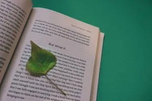 Why do writers write? They feel passion about their works