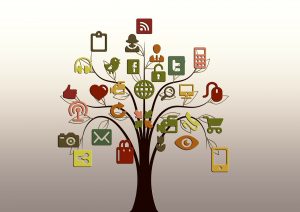 Maximizing LinkedIn