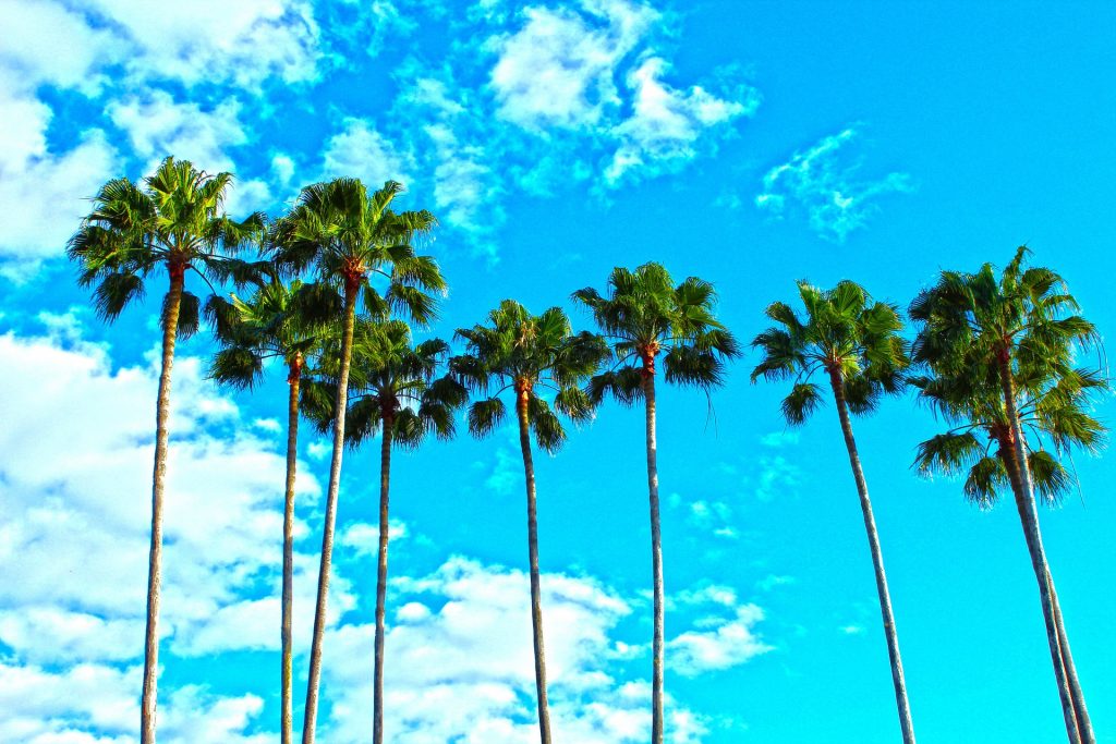 I am a Florida ghostwriter