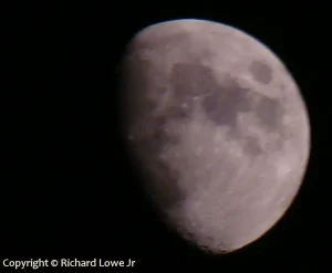 Lunar Inspirations