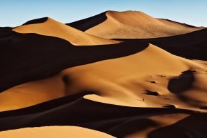 Dune film adaptation