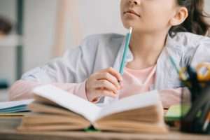 Educational Echo Chambers When School Becomes a Script