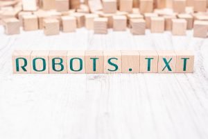 robots.txt file