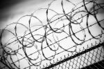 What’s New at The Writing King: Week of August 30, 2026