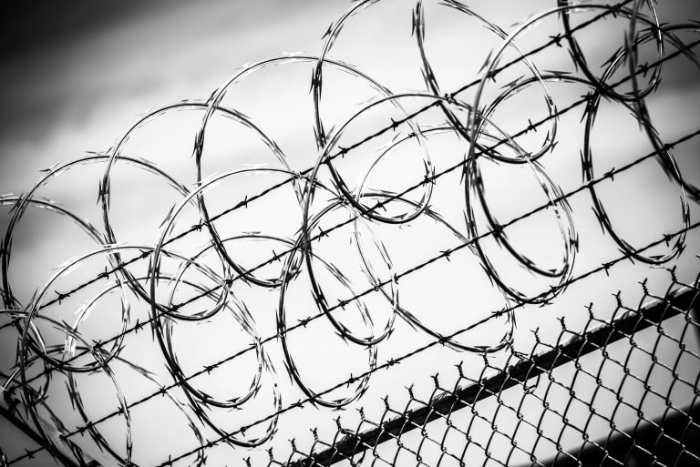The web got fenced