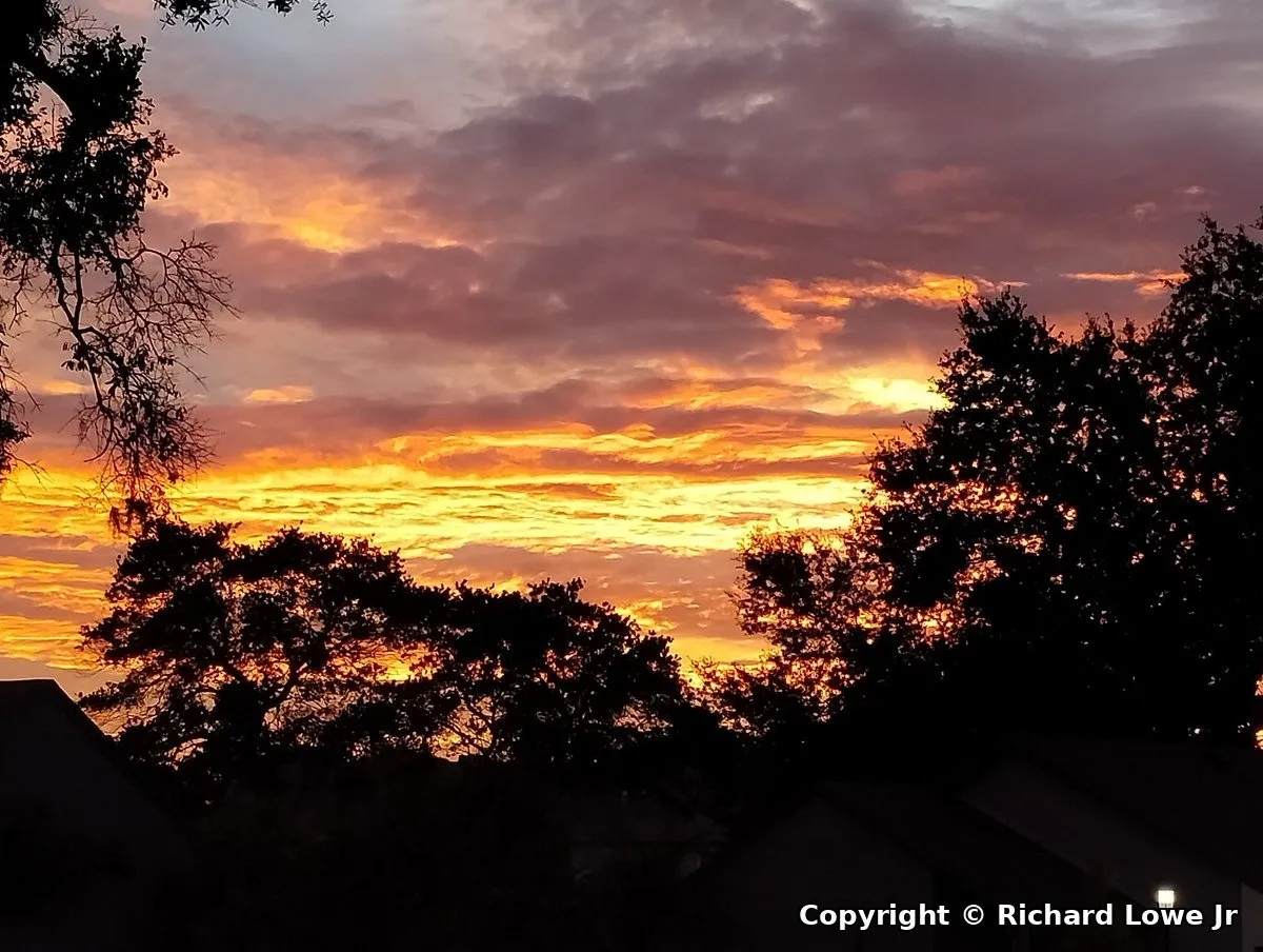 Orange and gold clouds streaked across a purple evening sky, with live oaks and rooftops in black silhouette
