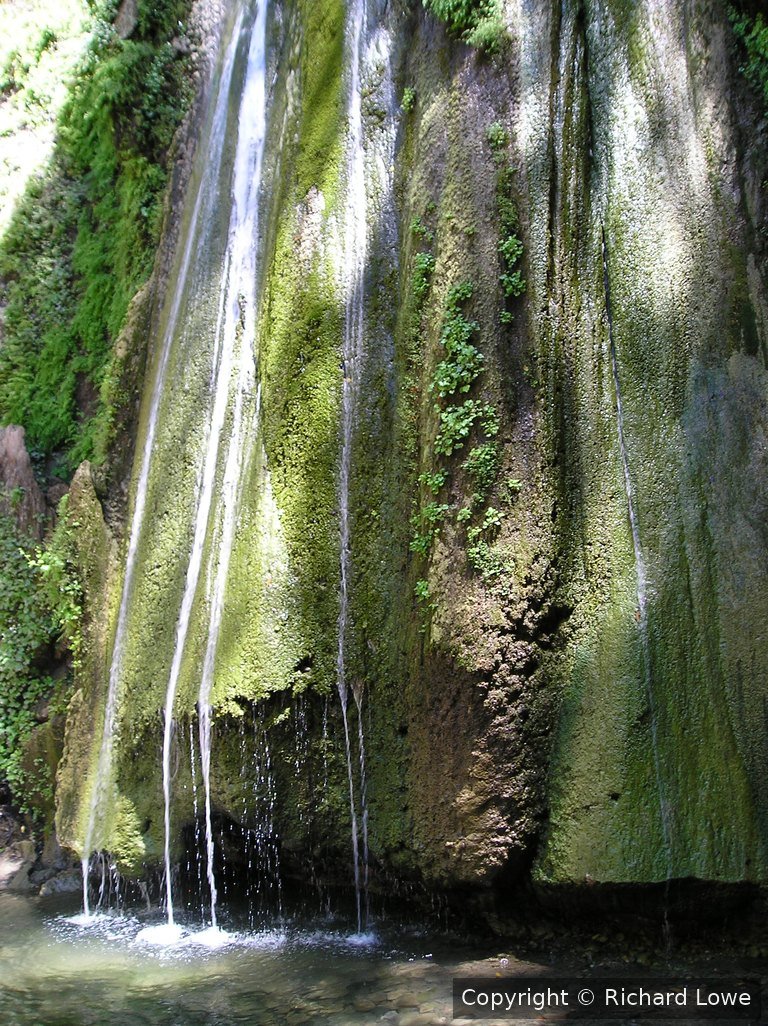 Water streaming down a moss-covered rock face into a shallow pool at Nojoqui Falls in California
