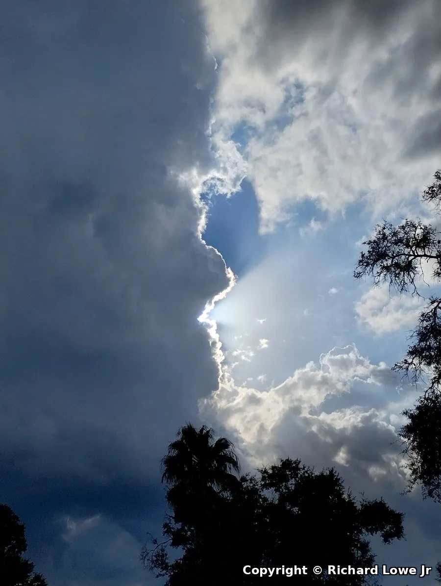 A dark storm cloud with the sun breaking through its glowing edge, an edge that looks like a face in profile, above silhouetted oaks and a palm